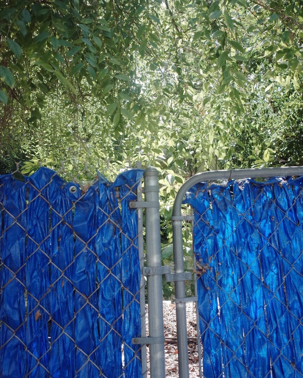 Image 1l
